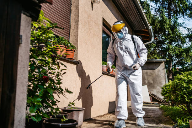 Best Commercial Pest Control Services  in Choccolocco, AL