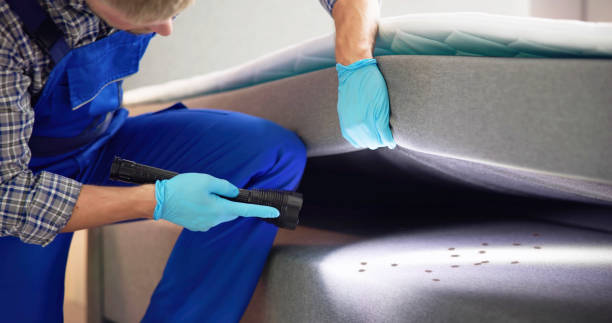 Best Rat Extermination Near Me  in Choccolocco, AL