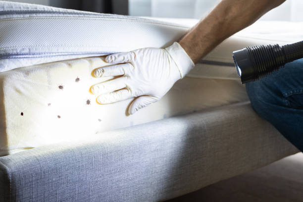 Best Best Pest Control Companies  in Choccolocco, AL