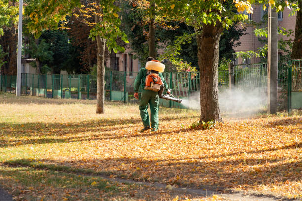 Pest Prevention Services in Choccolocco, AL