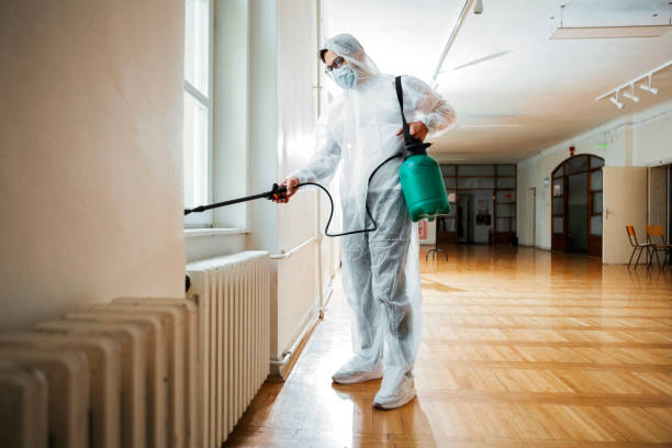 Best Affordable Pest Control Services  in Choccolocco, AL