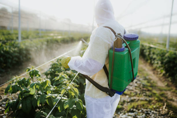 Best Flea Control Services  in Choccolocco, AL